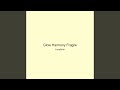 Glow Harmony Fragile