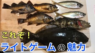 【夜の堤防】ライトゲームしたらいろんな魚が釣れたので豪華天丼作ってみた