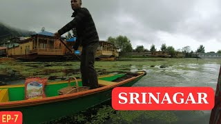 Guwahati to Ladakh Road Trip | Srinagar | Ep-7  #ladakhtrip #guwahatitoladakh #srinagar #dallake