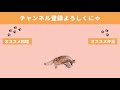 【料理動画♯85】クリスマスにも使える！おつまみレシピ達。 夫婦と猫の晩酌風景 【english subtitles】【猫動画】