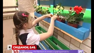 Зміни свою школу – зелений фасад та квіткова композиція