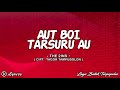 Aut Boi Tarsuru Au - The 2ins || Lirik Lagu Batak Terpopuler