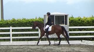 【第66回関東高等学校馬術選手権大会】〈第二次予選　馬場馬術競技2課目C〉波戸諒星(高3)･ハッピーチャンス(東京農業大学第一高等学校)