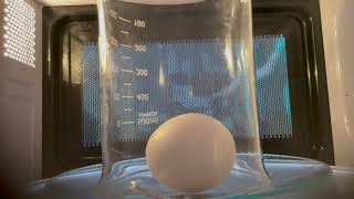 Exploding Egg in Microwave Inspired by #nilered
