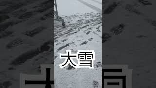 北九州市大雪　#雪　＃北九州