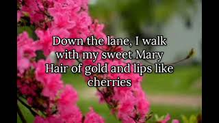 Green Green Grass of Home(LYRICS VIDEO).Tom Jones