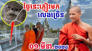 ថ្ងៃនេះភ្ញៀវមកលេងស្កាយច្រើន បង្ហាញអារម្មណ៍ពិតខ្លះៗ #វត្តតាសុត #អាមាត្យជន