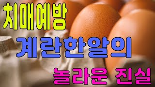 치매예방 계란 한알의 놀라운 사실