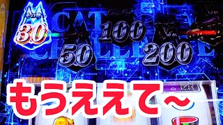 真っ先に30が選ばれるキャッツアイ【Sキャッツ・アイ】