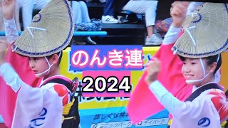 阿波踊り『のんき連』100年伝統を受け継ぐ連