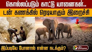 யானை கறியை தேடி அலையும் மக்கள்...El Nino எனும் பேராபத்து... இப்படியே போனால்...? | Namibia | PTD