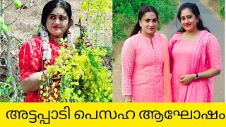 അട്ടപ്പാടി കസിന്റെ വീട്ടിൽ വച്ച് ഈസ്റ്ററും. ഗൂളികടവ് അമ്പലത്തിലെ ഉത്സവവും അടിച്ചുപൊളിച്ചു #attappadi