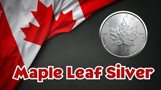 Silver Maple Leaf ASMR sounds. (NO TALKING)