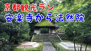 京都観光ラン🏃🏽　安楽寺から法然院