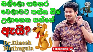 Dinesh muthugala sir| 🤣බල්ලො පස්ස බිම උලාගෙන යන්නෙ ඇයි | science education | biology classs | health