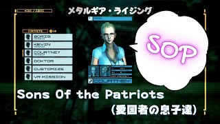 Sons Of the Patriots（愛国者の息子達）システム　メタルギアライジング