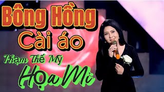 Bông Hồng Cài Áo | Phạm Thế Mỹ |  Hoạ Mi