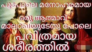 ഈശോ ജോണിനെയും ജെയിംസിനെയും കണ്ടുമുട്ടുന്നു അദ്ധ്യായം 47 #jesuschrist #stjohn #stjames