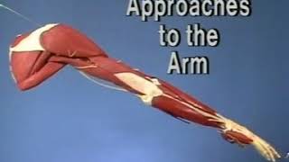 Surgical Approaches to ARM- Understanding Anatomy to Dissection
