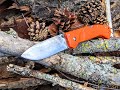 Cold Steel Ultimate Hunter - #1 Recommended Knife to ANYONE