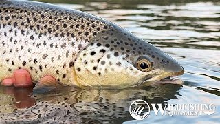 Fly Fishing Big Rivers with Mini Tube Flies