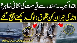 Fish with a Cow face found in Sea | Unbelievable Miracle of Allah | FishViral Video