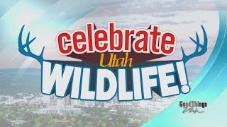 Celebrate Utah’s wildlife at the International Sportsmen’s Expo