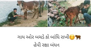 ગાય ઓર બચડે કો બાંધિ રાખી#ગામડામા રક્ષા બંધન આવી રીતે હોય