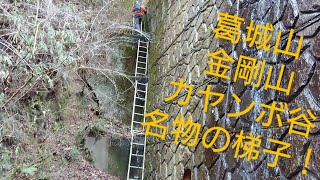 2020-12-26 葛城山 天狗谷～ダイトレ  金剛山 カヤンボ谷～もみじ谷 氷瀑の様子