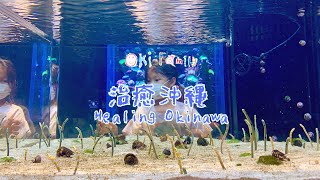 【治癒沖繩 Healing Okinawa】系列 之 10 DMM Kariyushi水族館