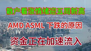 散户看涨情绪迎五周新高！AMD ASML 下跌的原因！佳能新光刻机对ASML的影响！资金正在加速流入！特斯拉买入的几个位置，如何按排！美股分析 STOCK ASML AAPL GOOGL UBER