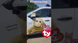 Beanie Babies are back on the road! #beanmachine