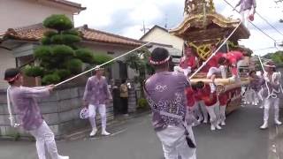 2016南河内郡太子町（科長神社）だんじり祭り、宵宮　西町①（平成28年8月23日）