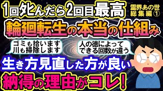 【2ch不思議体験】輪廻転生・生れ変りの本当の仕組み。1回ﾀﾋんだら2回目の人生最高！現世の生き方見直した方が良い、納得の理由がコレ！..あの世・霊界まとめ総集編(作業用)【スレゆっくり解説】