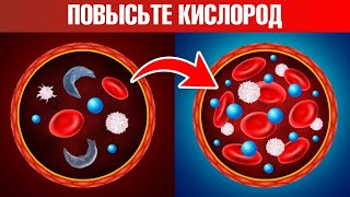 Как повысить уровень кислорода в крови и в клетках? Есть секрет 🙌