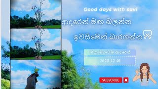 ආදරෙන් මඟ බලන්න....ඉවසීමෙන් බාරගන්න 👣❤️🌸🌻🌧️🌼2023-12-01#motivationalvideo#motivation