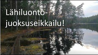 Sipoonkorpea etsimässä