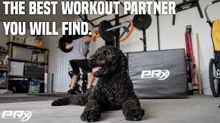 THE WORKOUT PARTNER THAT WILL NEVER BAIL ON YOU...