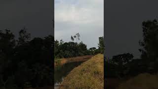 পাড়সহ একটি পুকুর এবং ফসলের মাঠ।#crop #crops #field #green #ponds #fish #farming #nature #village