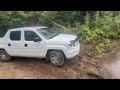 field clearing 100 acre homestead