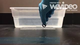 Shape memory polymer shape 1
