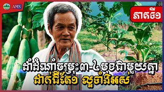 ដាំដំណាំចម្រុះ៣-៤​មុខជាមួយគ្នាដាក់ជីតែ១ ល្អទាំងអស់