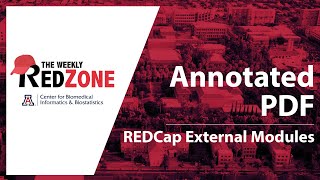 REDZone - Annotated PDF