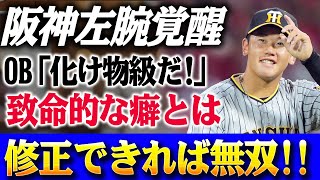 「こんな急成長、誰が想像した!?」阪神20歳左腕が“覚醒”の裏で…元捕手OBが驚愕！「これさえ直せば化け物なのに…」修正困難な“致命的な癖”とは