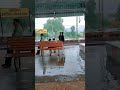 jhalda railway station heavy rain full barsaat ke din aaye shorts viral pr prakash vlog