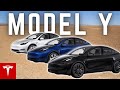 Model Y: Standard vs Long Range vs Performance