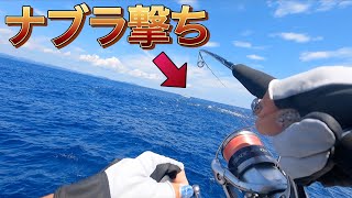 巨大魚のナブラ撃ちでロッドぶち曲がり‼︎