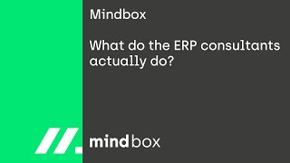 What do the ERP consultants actually do?