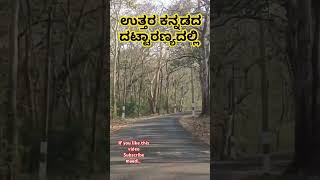 ಕನ್ನಡ ನಾಡಿನ ಅರಣ್ಯಗಳು: ಉತ್ತರ ಕನ್ನಡ ಜಿಲ್ಲೆ. #uttarakannada  #karnatakatourism #drrajkumar