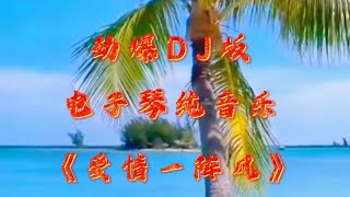 劲爆DJ版电子琴纯音乐《爱情一阵风》怀旧金曲 |electronic organ dj | Bass car music